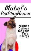 Little Doggie Day Care in Denver